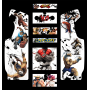 street fighter riu arcade stickers